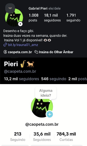 Prints de números de seguidores em redes sociais